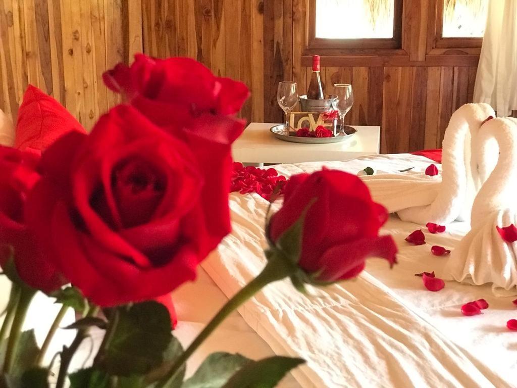 Hotel Tortuga Village San Luis La Herradura 외부 사진