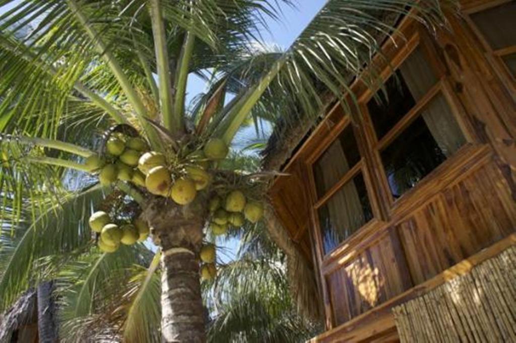 Hotel Tortuga Village San Luis La Herradura 외부 사진
